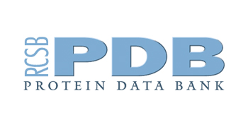 PDB Protein Data Bank
